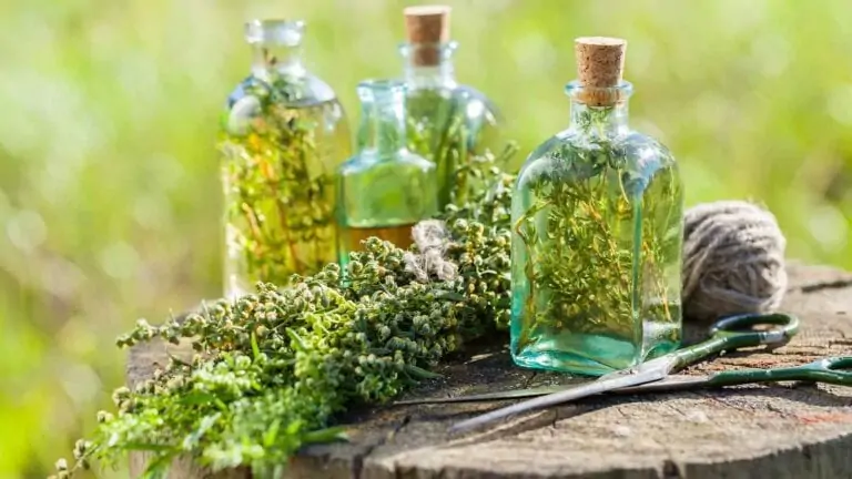 Medicinal herbs and phytotherapy available at Farmacia Vegas